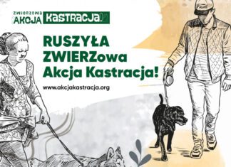 ZWIERZowa Akcja Kastracja 2023!