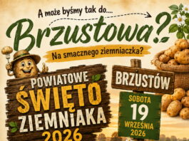Powiatowe Święto Ziemniaka 2026 w Brzustowie. Gwiazda wieczoru zespół BAYERA!