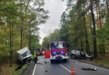 Śmiertelny wypadek na DK48 między Tomaszowem Maz. a Spałą